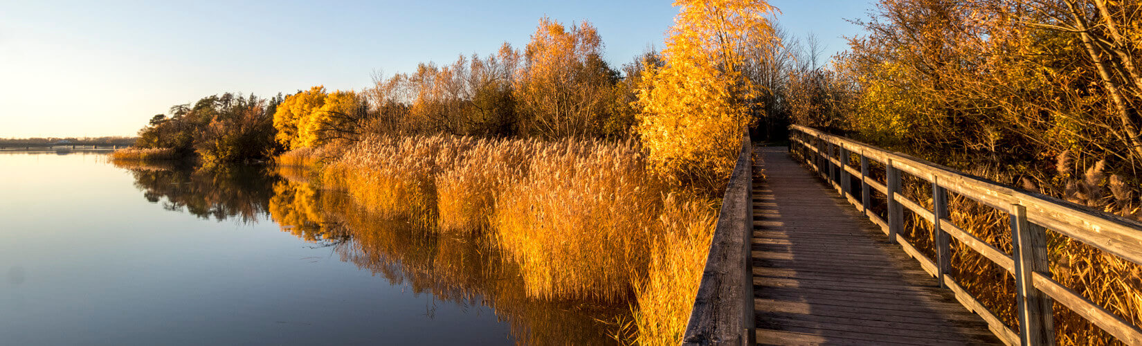 Welland canal clearance trail