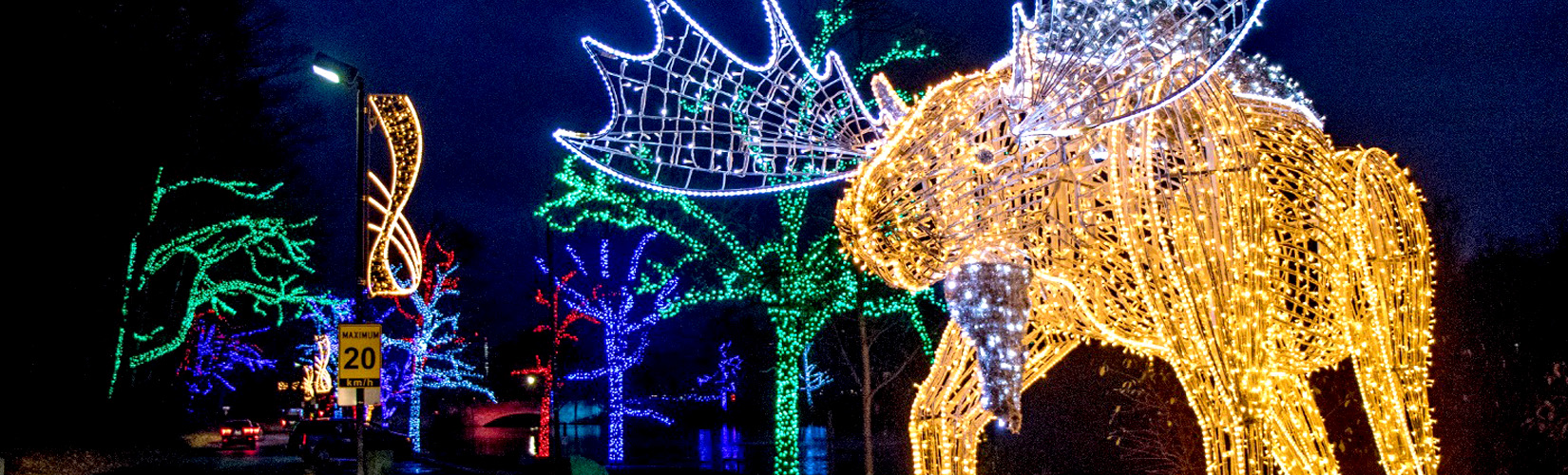 There's a magical trail covered in holiday lights near Toronto