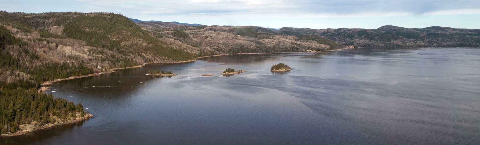 Bird Watching in Côte-Nord – Manicouagan, Blogue