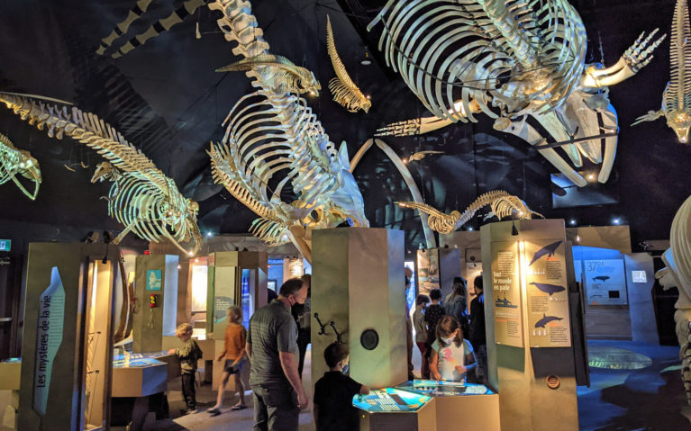 Exhibits Inside the Marine Mammal Interpretation Centre :: I've Been Bit! Travel Blog