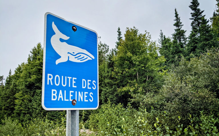 Route Des Baleines Sign Along the Quebec Whale Route :: I've Been Bit! Travel Blog