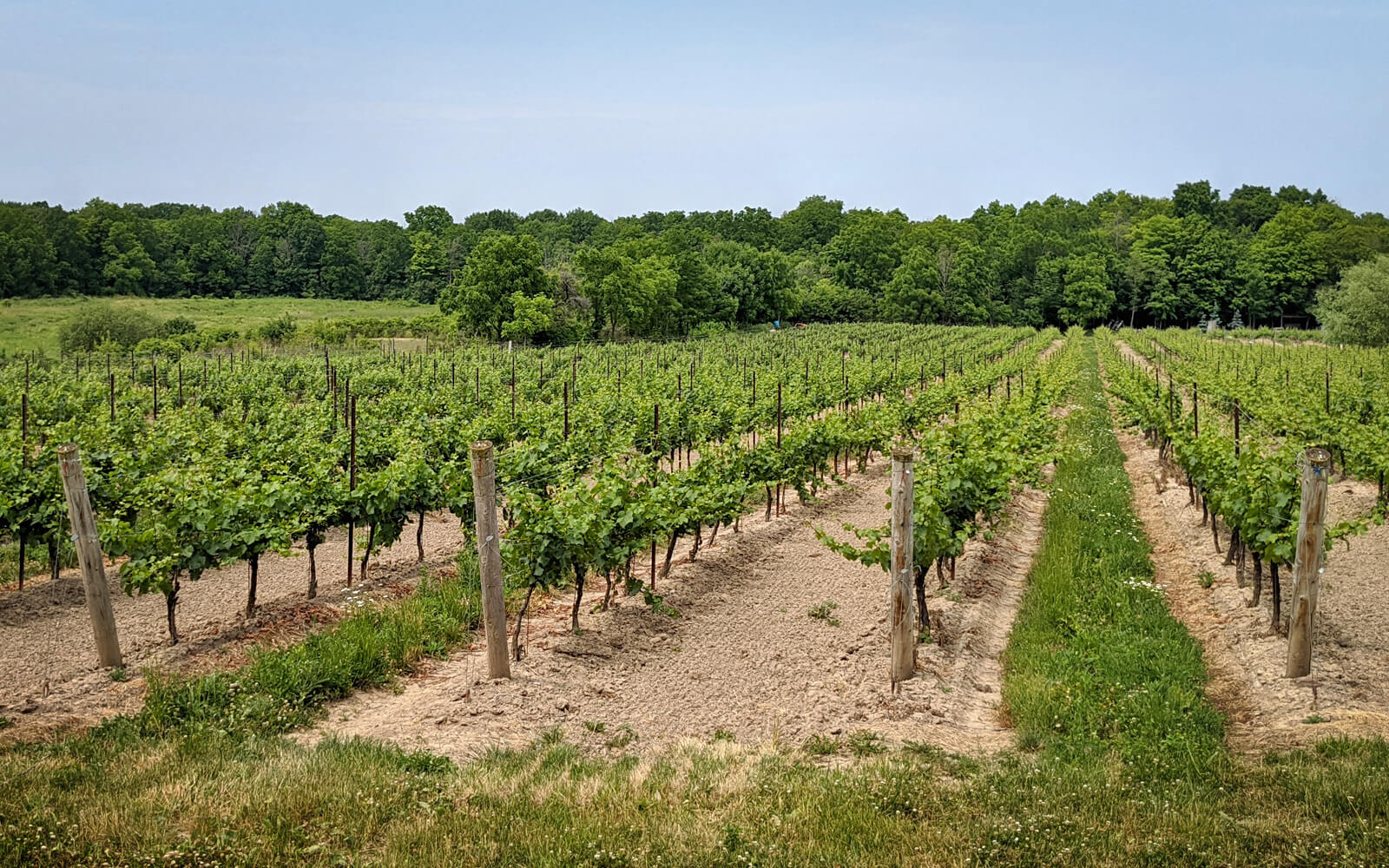 30+ Charming Things to Do in NiagaraontheLake From a Local » I've