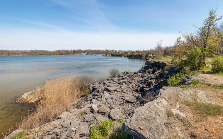 Wainfleet Wetlands Conservation Area - Top Hiking Trails in Niagara :: I've Been Bit! Travel Blog