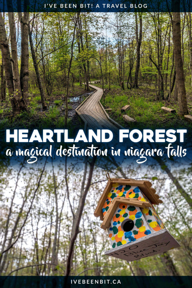 Looking for a truly unique experience in Niagara Falls Ontario? Plan a visit to the Heartland Forest for some quality nature time with a twist! | Things to Do in Niagara Falls Canada | Niagara Falls Ontario Things to Do | Things to Do in Niagara Falls Canada for Families | Niagara Falls Hikes | Hikes Near Niagara Falls | Places to See in Niagara Falls Canada | Family Day Trips Ontario | Southern Ontario Day Trips | Day Trips in Ontario | #Summer #Hiking #Ontario