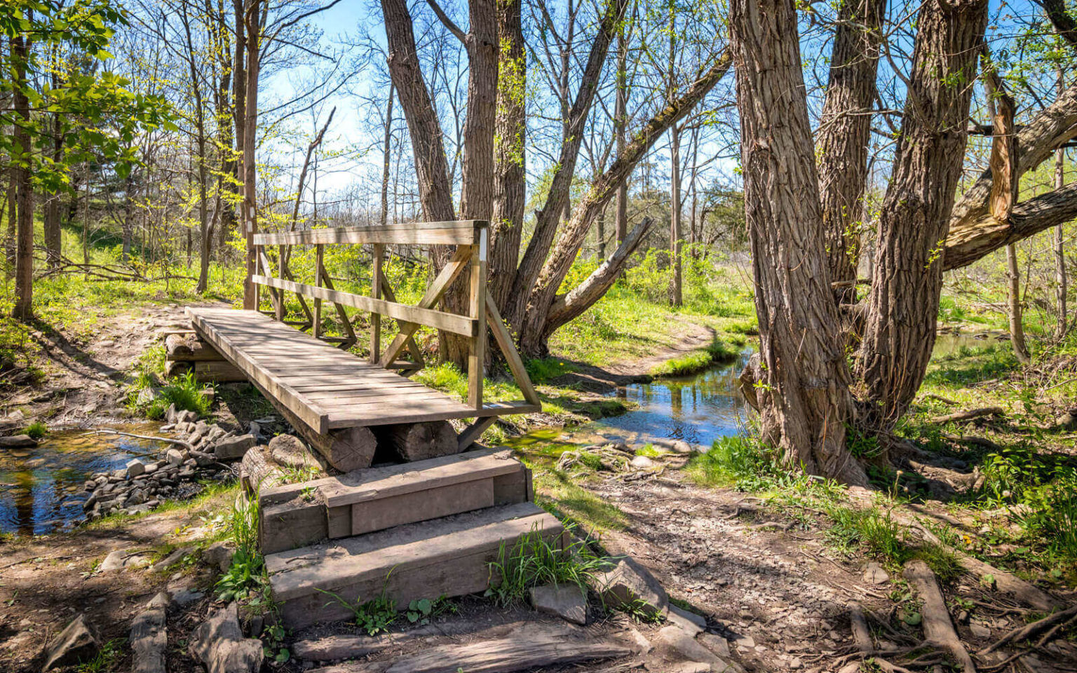 Top 10 Hiking Trails in Niagara: Best Niagara Hikes in the Region » I