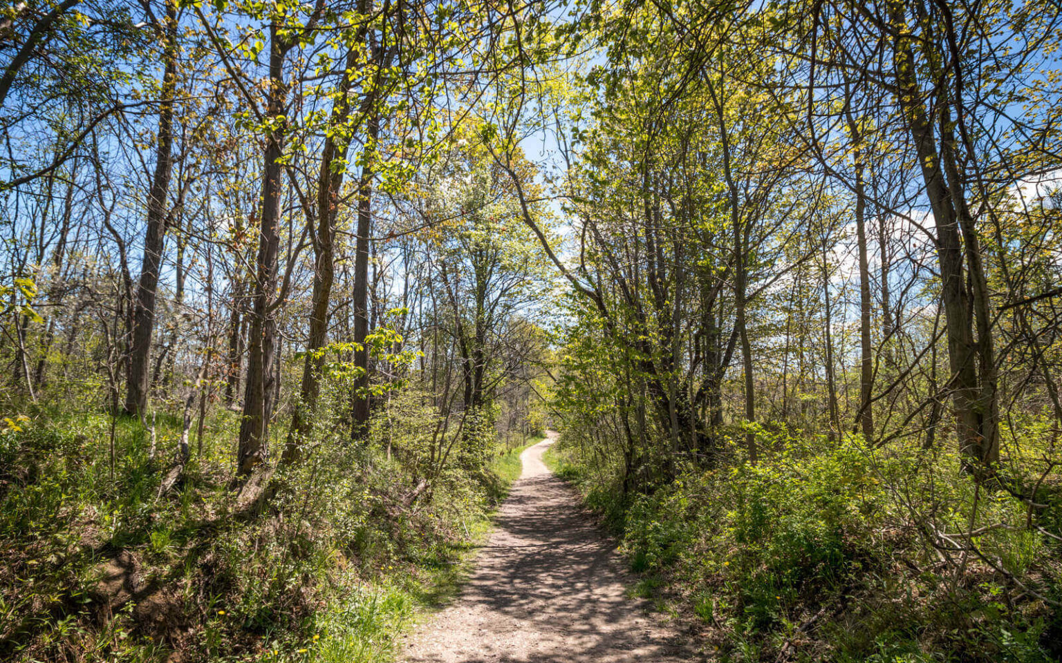 Short Hills Provincial Park Trails: Hiking in Niagara's Largest Park