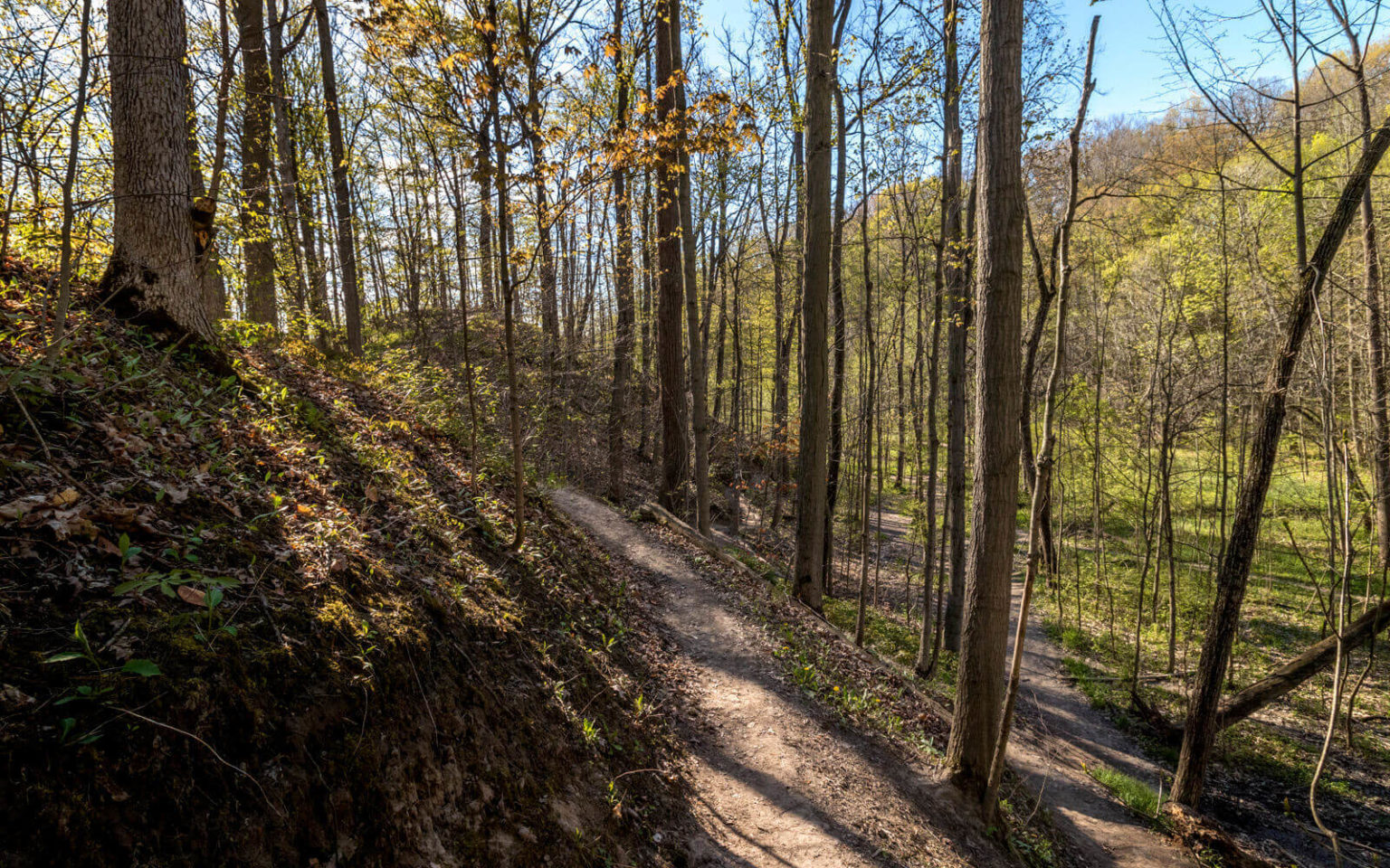 Short Hills Provincial Park Trails: Hiking in Niagara's Largest Park