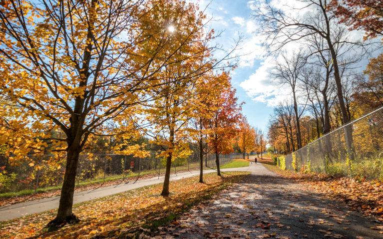 Niagara Falls Millennium Trail :: I've Been Bit! Travel Blog