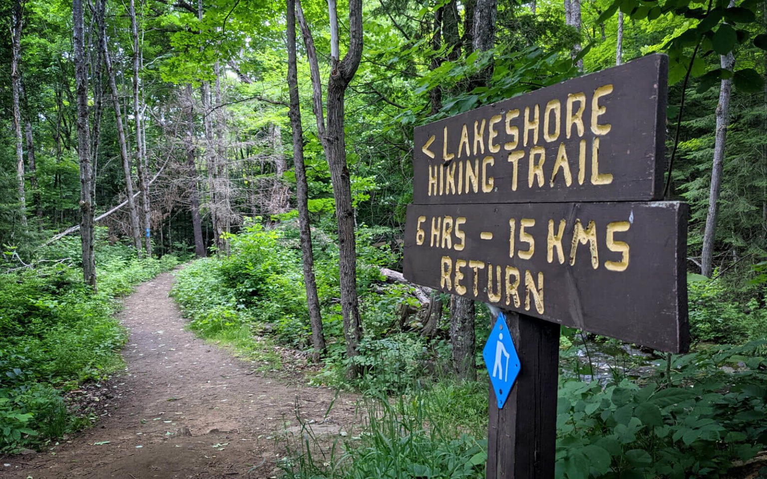 Silent Lake Provincial Park Cabins + Things to Do For An Epic Visit » I