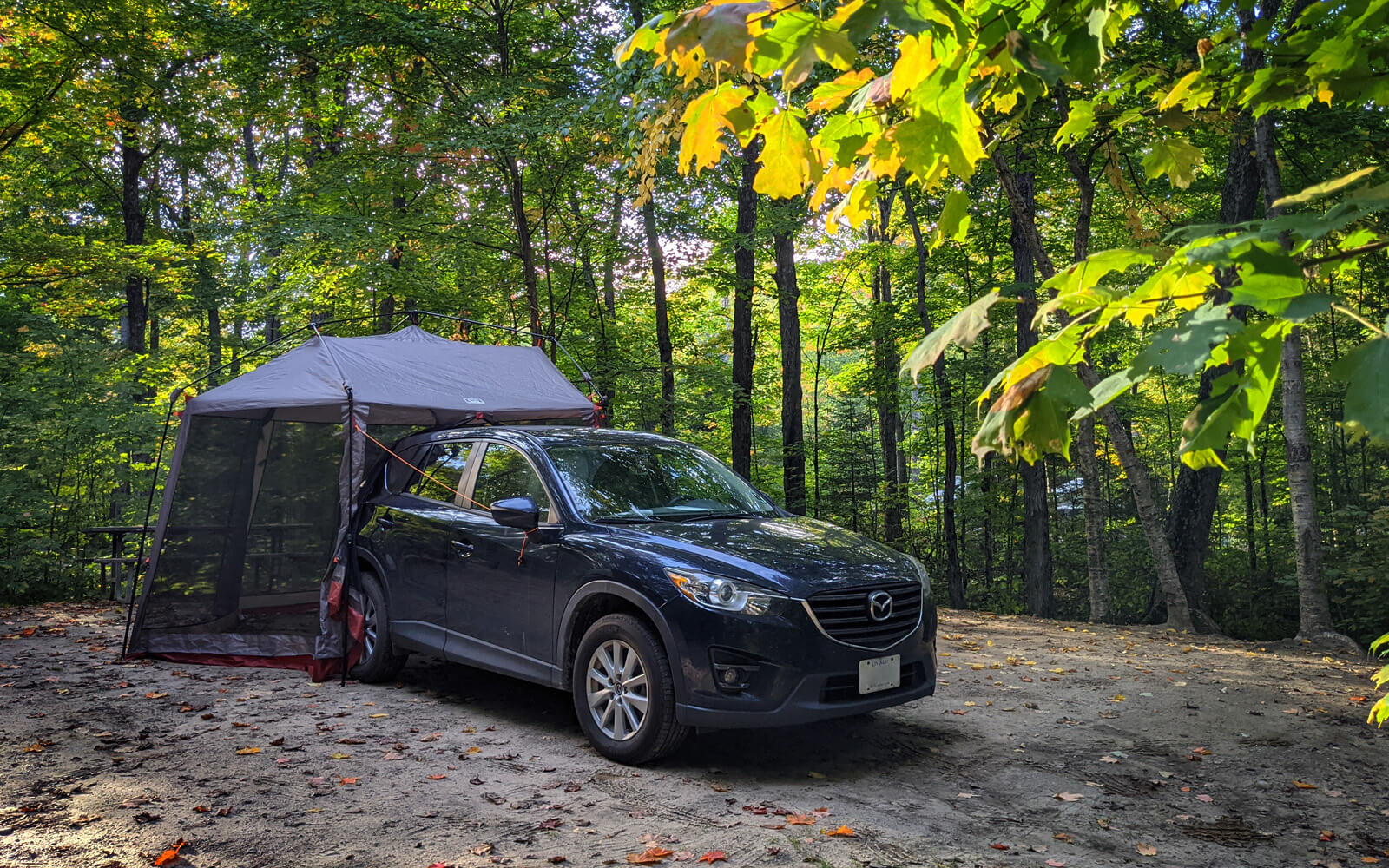 My Camping Set Up at Mikisew Provincial Park :: I've Been Bit! Travel Blog