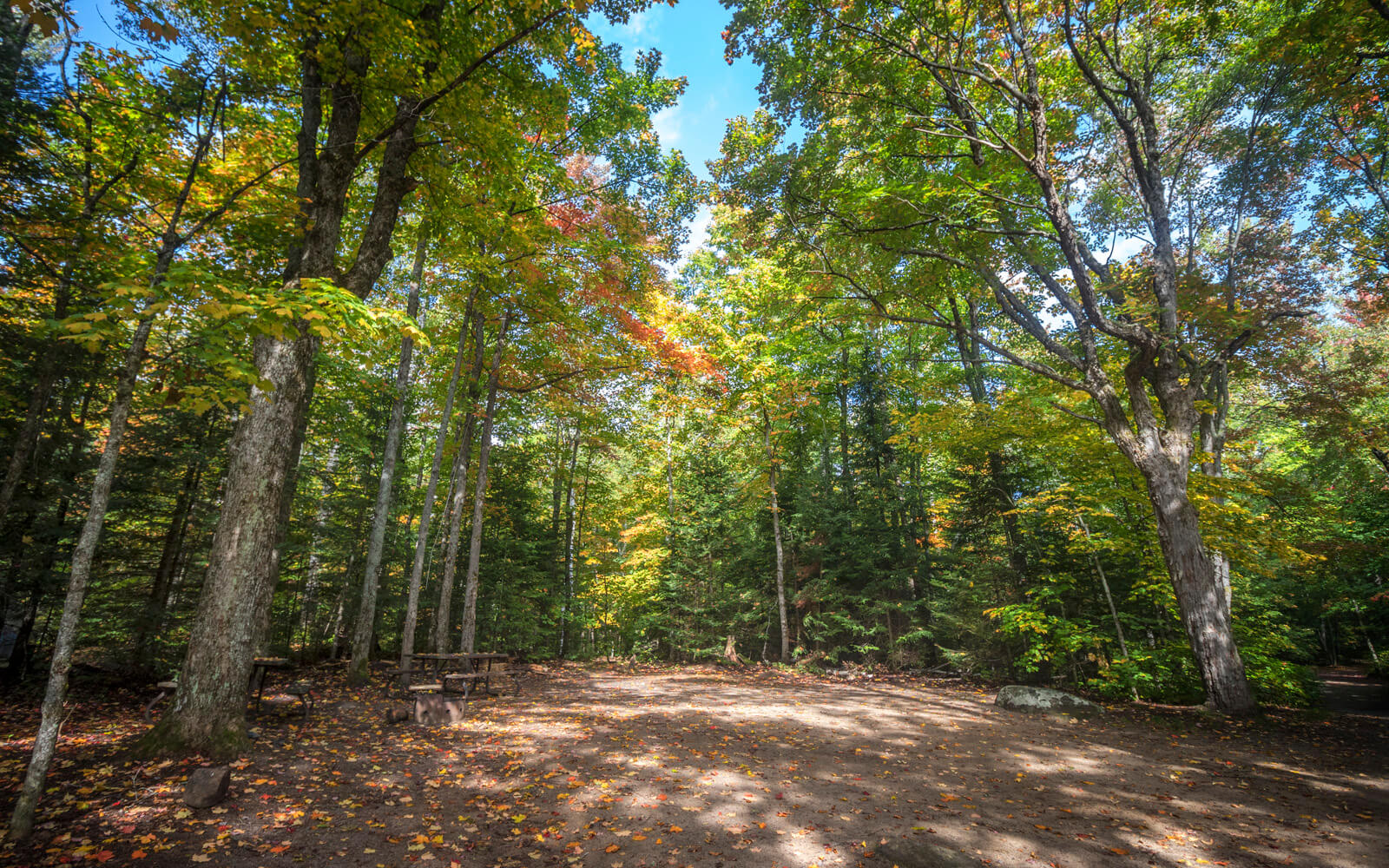 One of the Hardwoods Campground Sites :: I've Been Bit! Travel Blog