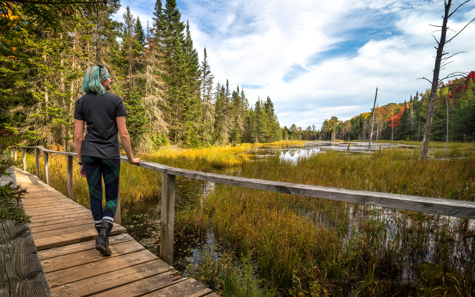 Lindsay Enjoying the Fall Colours Along the Beaver Meadows Trail :: I've Been Bit! Travel Blog