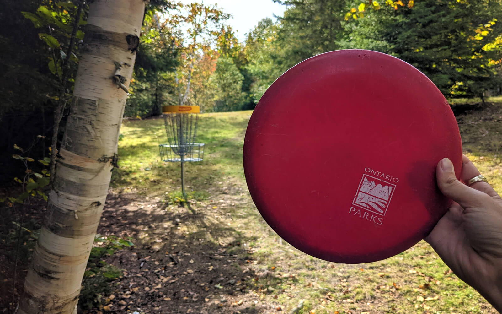 One of the Disc Golf Holes at Mikisew Provincial Park :: I've Been Bit! Travel Blog