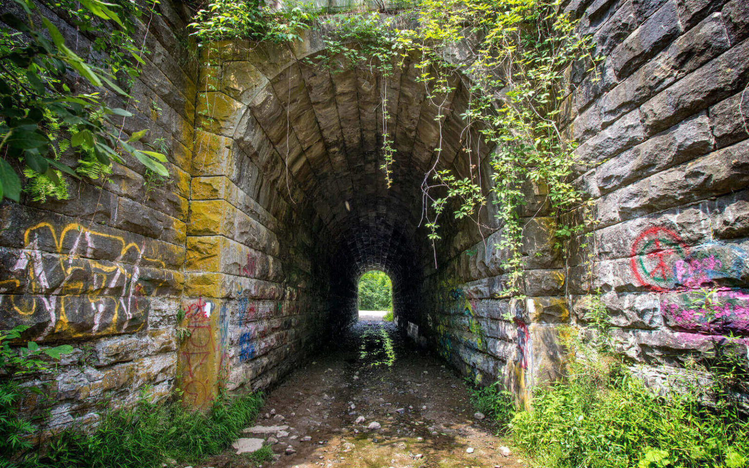 Screaming Tunnel Niagara Falls Haunted or a Hoax? » I've Been Bit