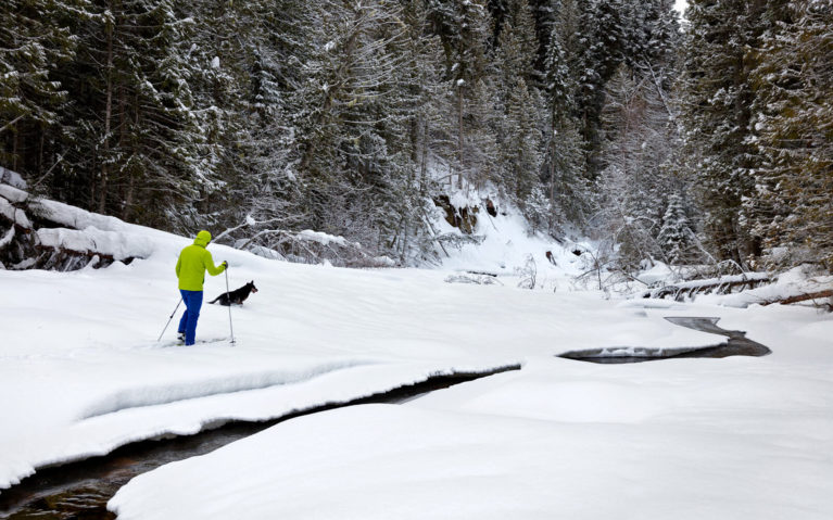Cross Country Skier with Dog by the River :: I've Been Bit! Travel Blog