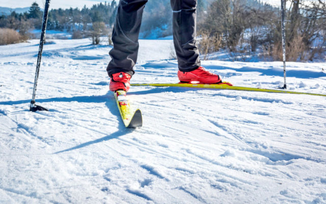 Cross Country Skiing in Ontario: 20+ Stunning Spots to Explore » I've ...