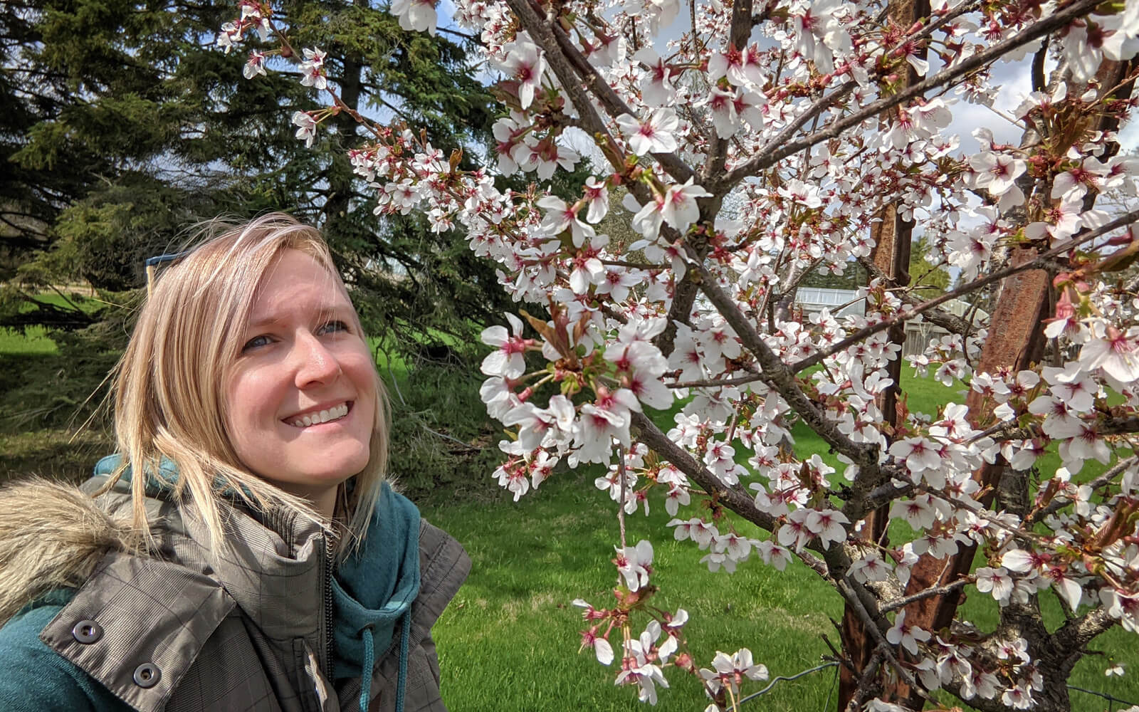 Lindsay with Cherry Blossoms in Niagara