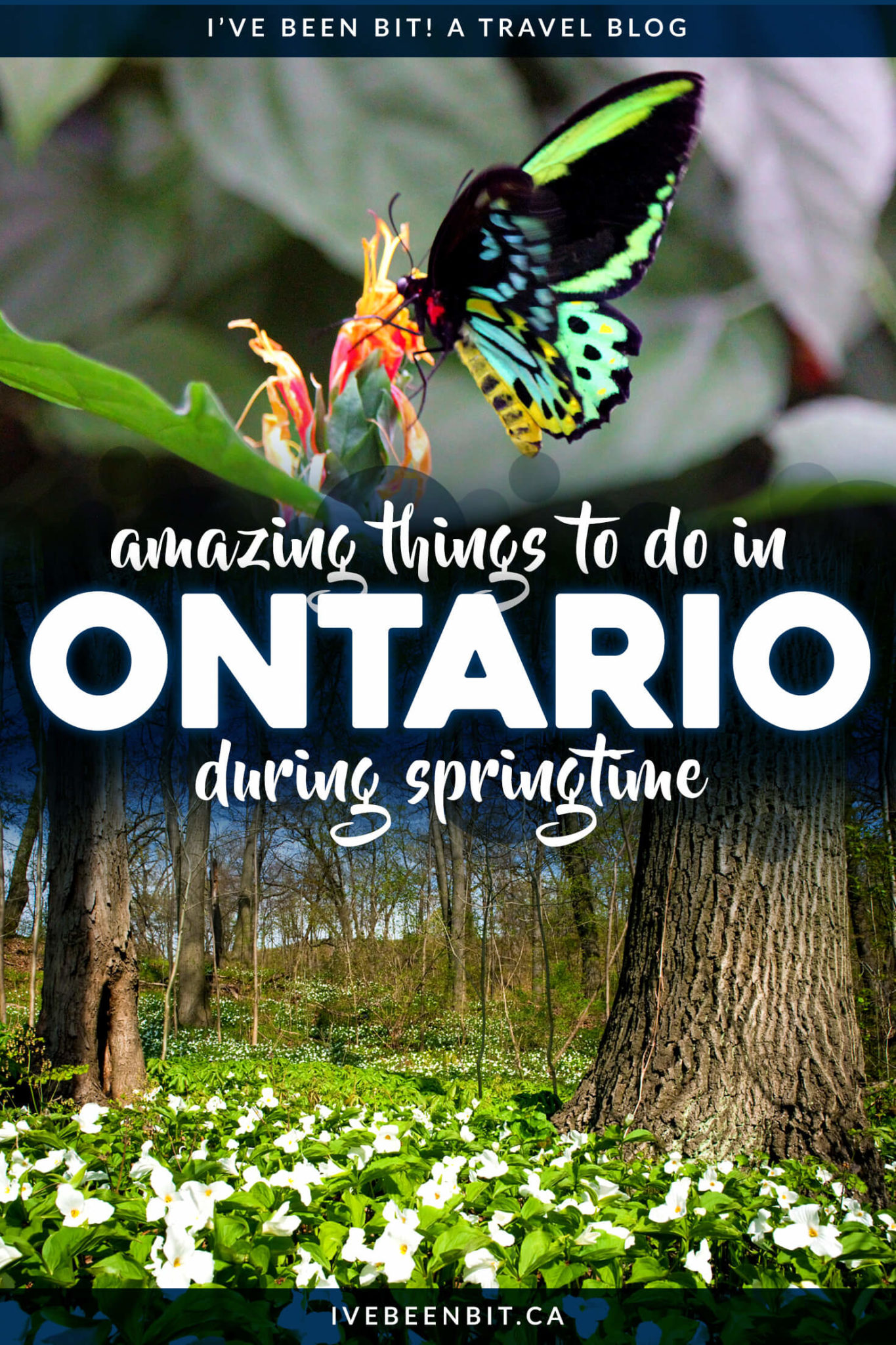 spring trips ontario