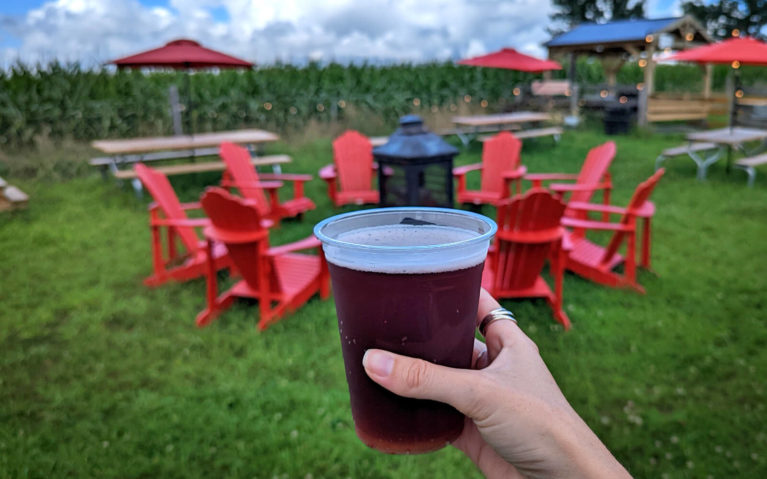 A Glass of Blueberry Cider on the Patio at Applewood Farm Winery :: I've Been Bit! Travel Blog