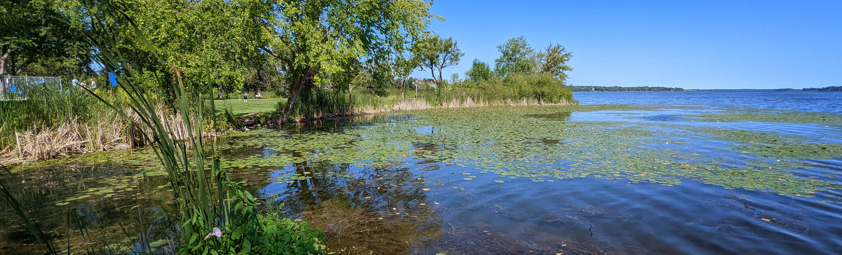 Lake Scugog Ontario: Top Things to Do On, Off & Near the Water :: I've Been Bit! Travel Blog