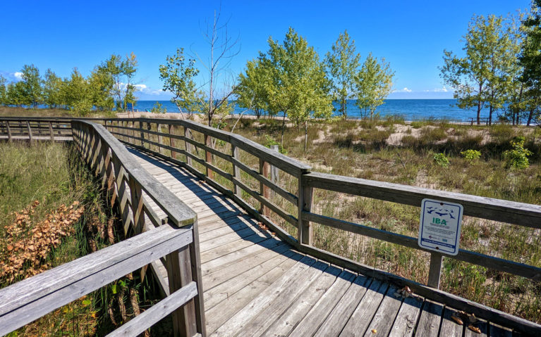 Boardwalk to the Beach Along the Tulip Tree Trail :: I've Been Bit! Travel Blog