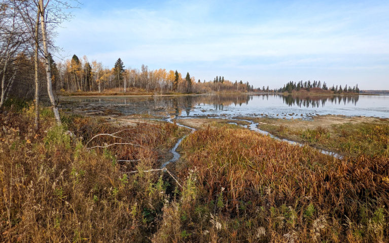 View from the Shoreline Trail at Elk Island National Park :: I've Been Bit! Travel Blog