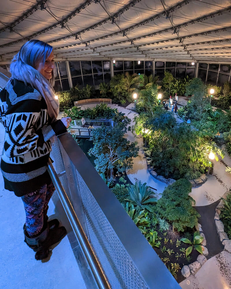 Lindsay Overlooking The Tropical Biome of The Leaf at Night :: I've Been Bit! Travel Blog