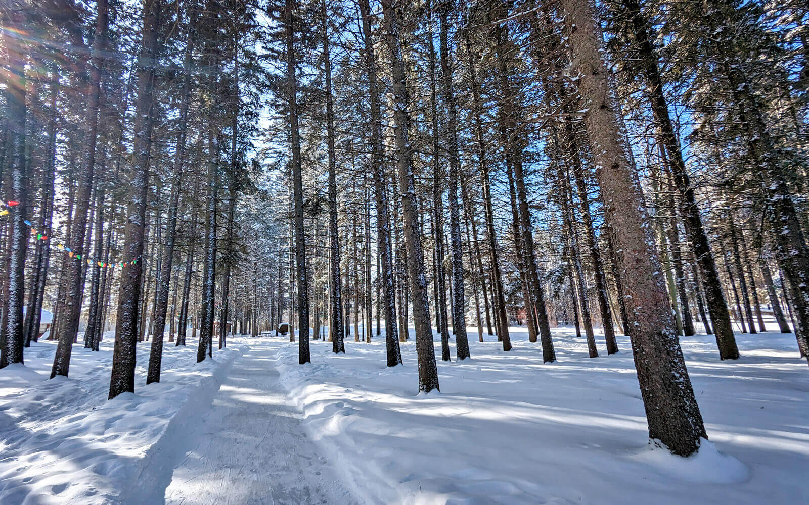 Wasagaming Skate Trail at Riding Mountain National Park :: I've Been Bit! Travel Blog