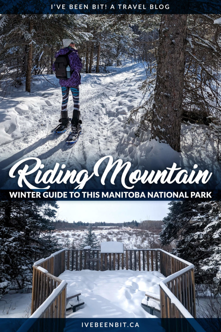 Best Things to Do in Riding Mountain National Park in Winter | Manitoba Canada Travel | Manitoba Travel Winter | Weekend Trip in Manitoba | Manitoba Road Trip | Winnipeg to Riding Mountain National Park | Wasagaming Manitoba | Clear Lake Manitoba | Snowshoeing in Manitoba | Fat Biking in Manitoba | Winter in Manitoba | Winter Travel | Canada Travel | Travel in Canada | Canada Road Trip | #Travel #Canada #Manitoba #RoadTrip | IveBeenBit.ca