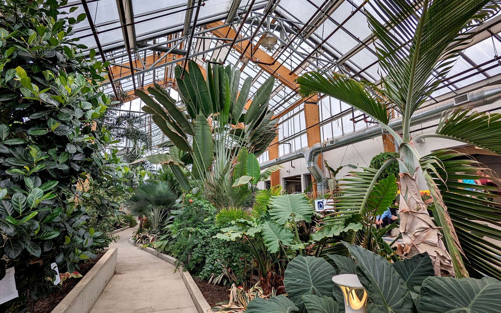 Inside the Gage Park Tropical Greenhouse :: I've Been Bit! Travel Blog