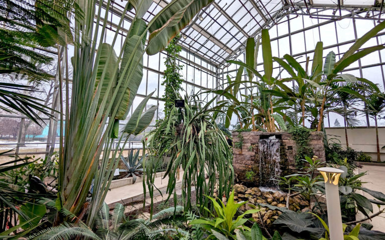 Inside the Tropical Greenhouse at Gage Park :: I've Been Bit! Travel Blog