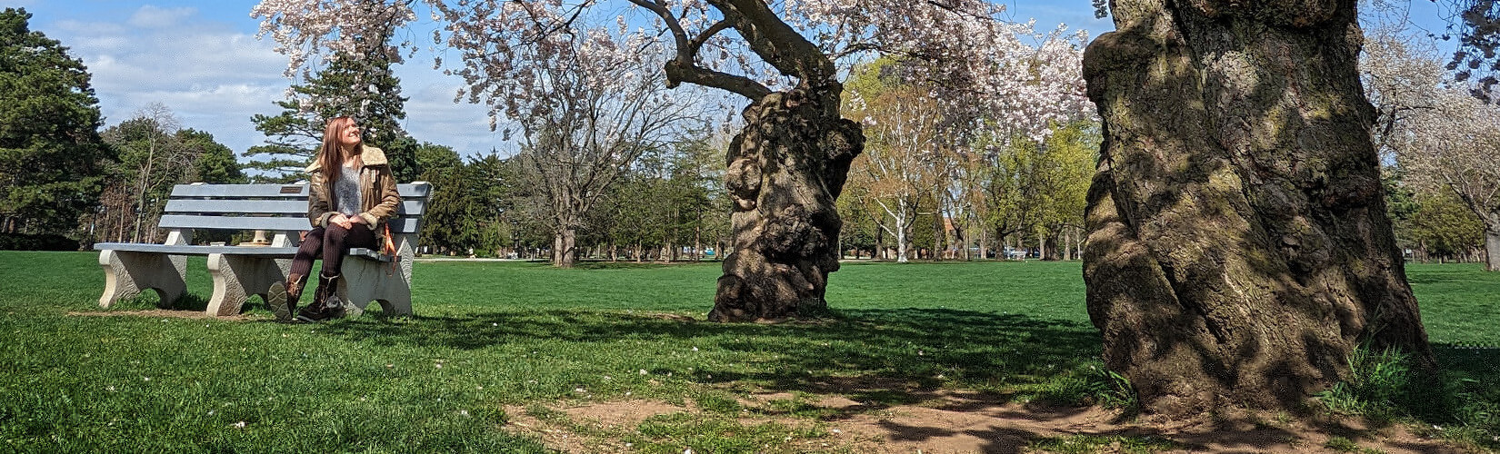 6 Top Spots to Find Cherry Blossoms in Hamilton This Spring :: I've Been Bit! Travel Blog