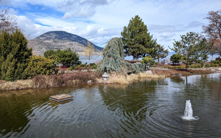 Views Towards Okanagan Lake Inside the Penticton Ikeda Japanese Garden :: I've Been Bit! Travel Blog