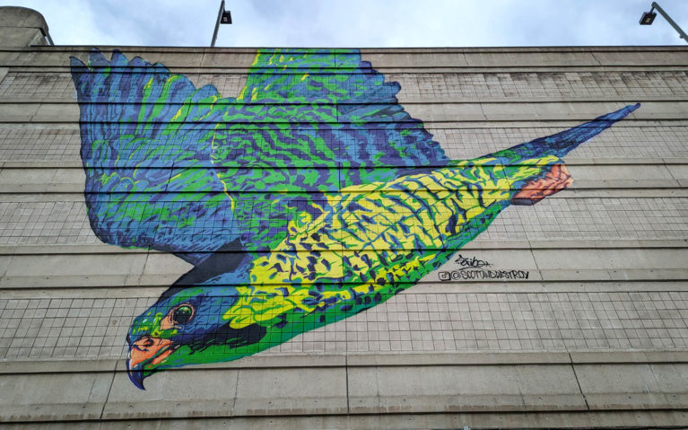 The Falcon on York Street Street Art in Hamilton :: I've Been Bit! Travel Blog
