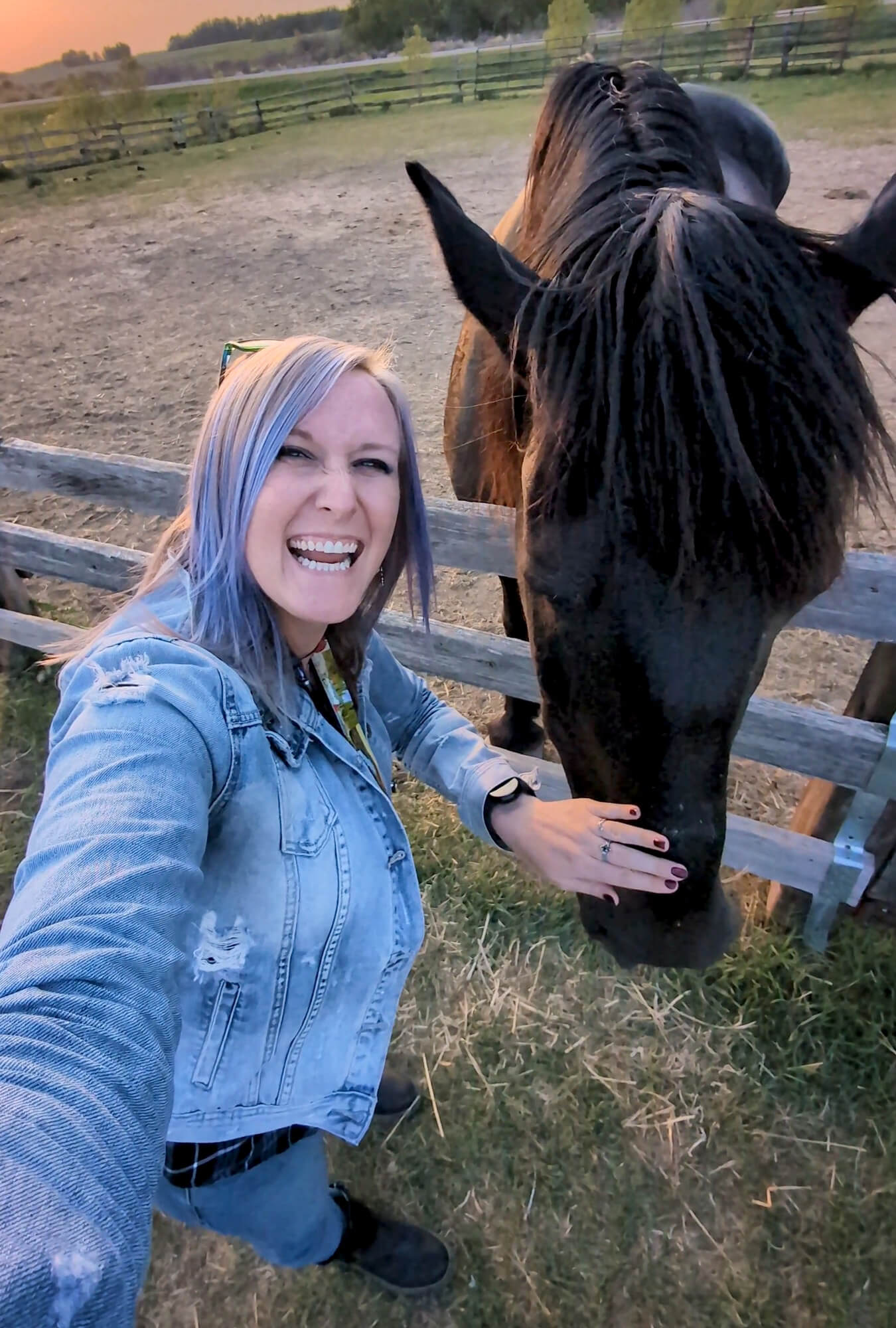 13+ Unique Things to Do in Saskatoon For A Truly Memorable Visit » I've