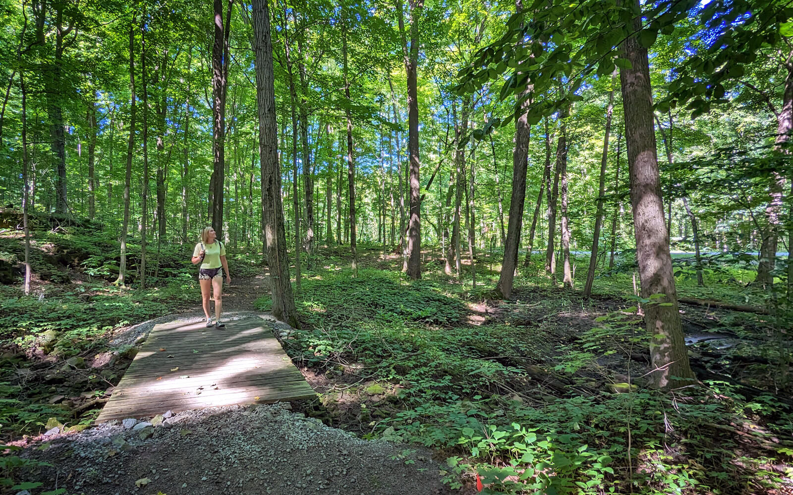 Balls Falls Conservation Area Guide Everything You Need to Know » I've