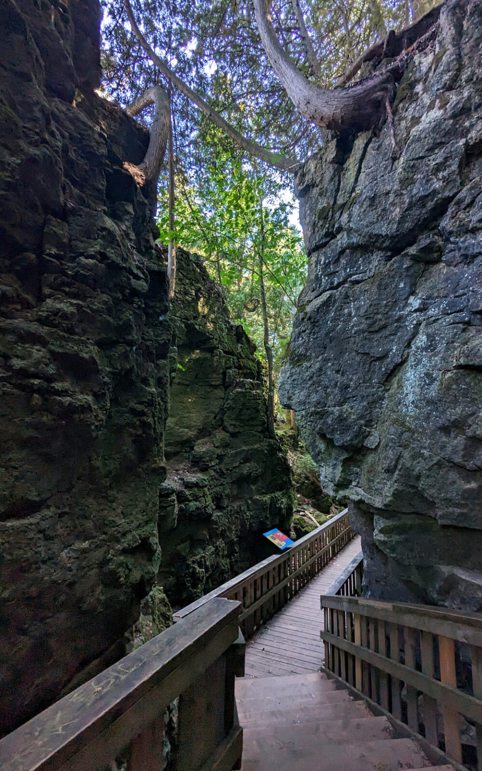 Mono Cliffs Provincial Park Trails & New Entry Process for 2023 » I've ...