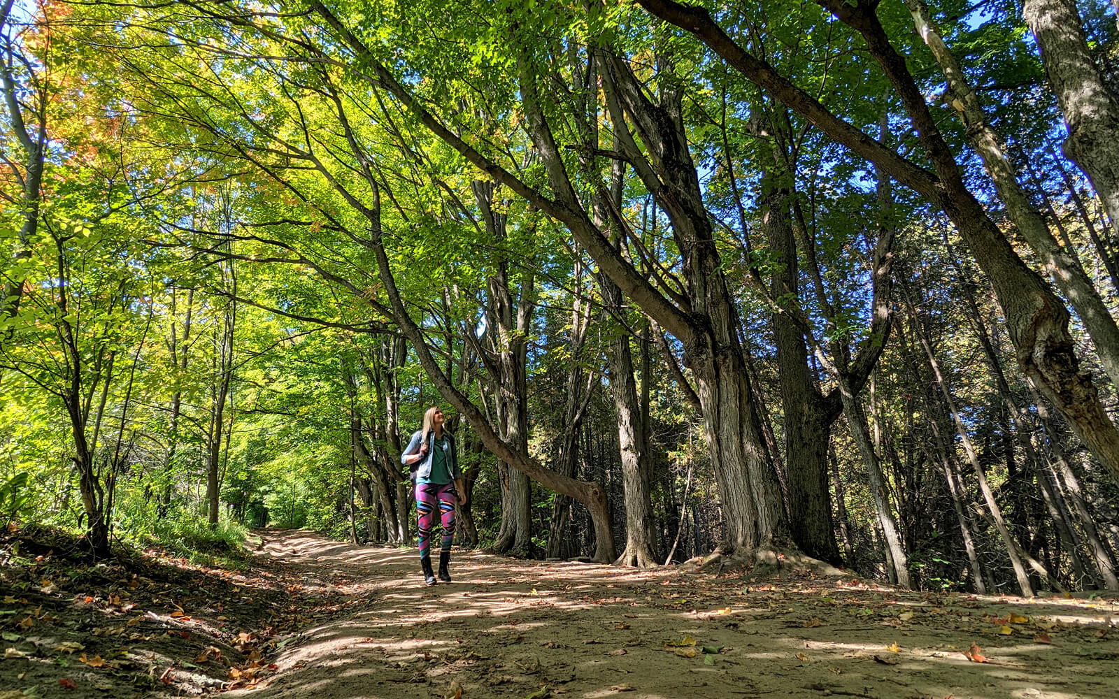Mono Cliffs Provincial Park Trails & New Entry Process for 2023 » I've