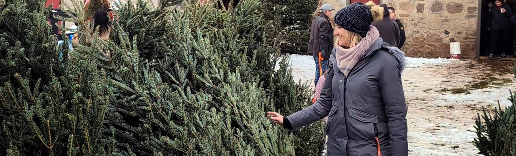 7 Christmas Tree Farms Near Toronto To Check Out This Holiday Season :: I've Been Bit! Travel Blog