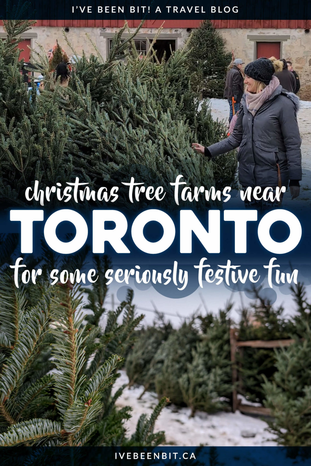 7 Christmas Tree Farms Near Toronto To Visit This Holiday Season » I've Been Bit! Travel Blog