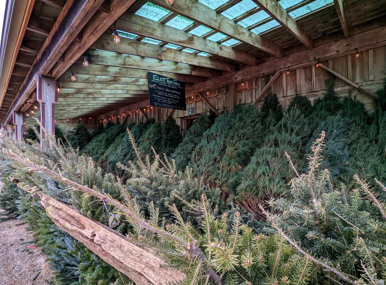 7 Christmas Tree Farms Near Toronto To Visit This Holiday Season » I've