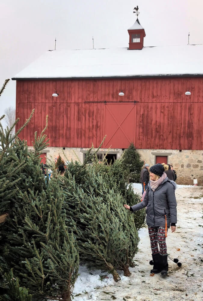 Lindsay Walking Through the Rows of Trees at Hockley Valley Tree Farm :: I've Been Bit! Travel Blog