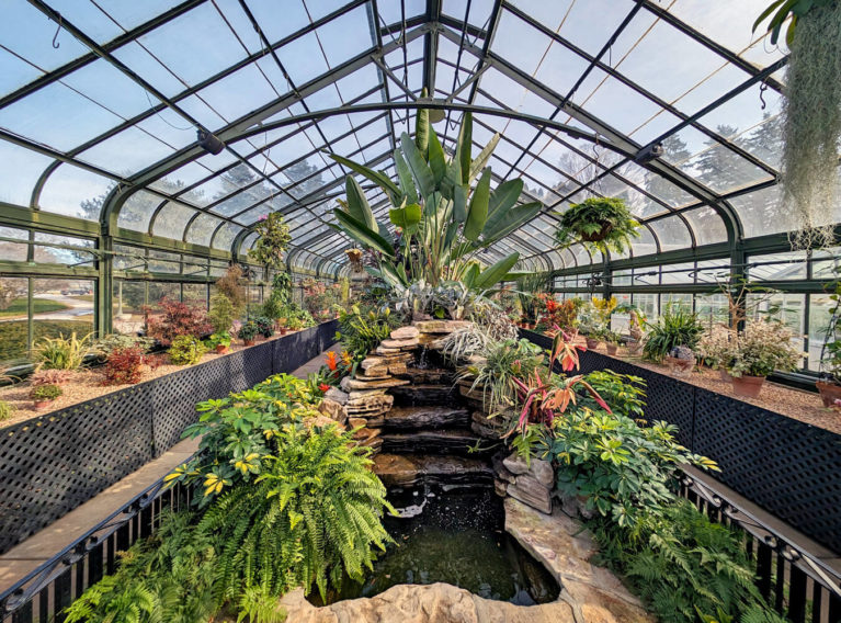 Inside the Niagara Parks Floral Showhouse :: I've Been Bit! Travel Blog