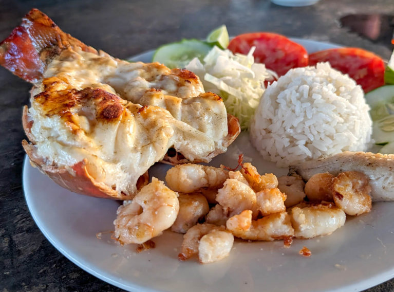 Grilled Lobster, Shrimp, rice and Veggies :: I've Been Bit! Travel Blog