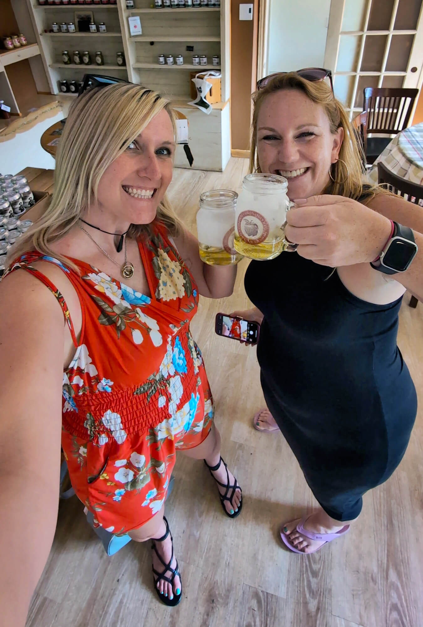 Lindz and Kat Cheersing with Some Local Cider in Pontiac :: I've Been Bit! Travel Blog
