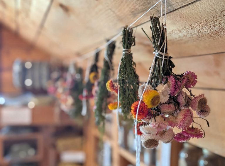 Flowers Hanging Inside the La Fée des Bois Boutique :: I've Been Bit! Travel Blog